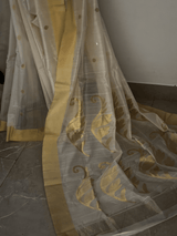 Milkyway Chanderi saree