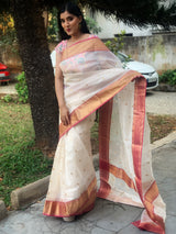 Divine - Chanderi Silk Saree
